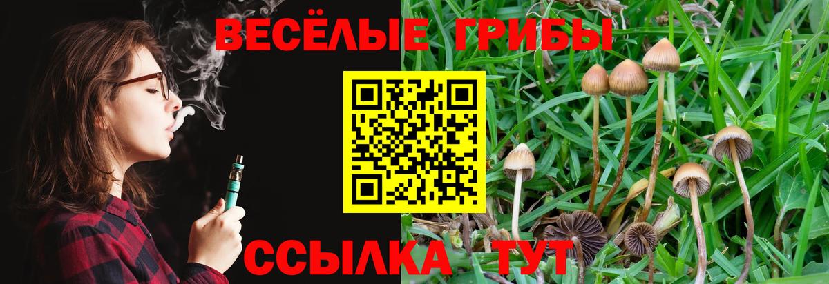 Псилоцибиновые грибы MAGIC MUSHROOMS Ишимбай